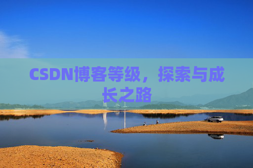 CSDN博客等级,探索与成长之路